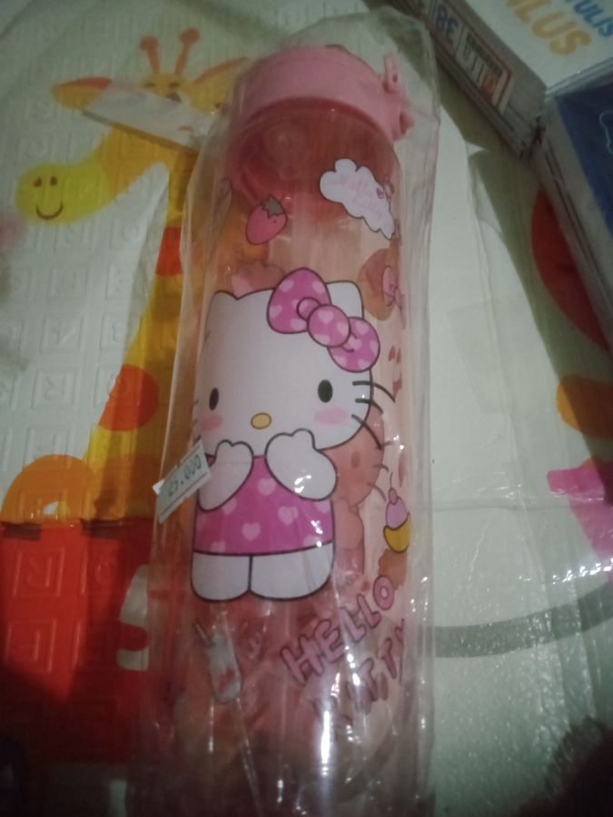 Botol minum