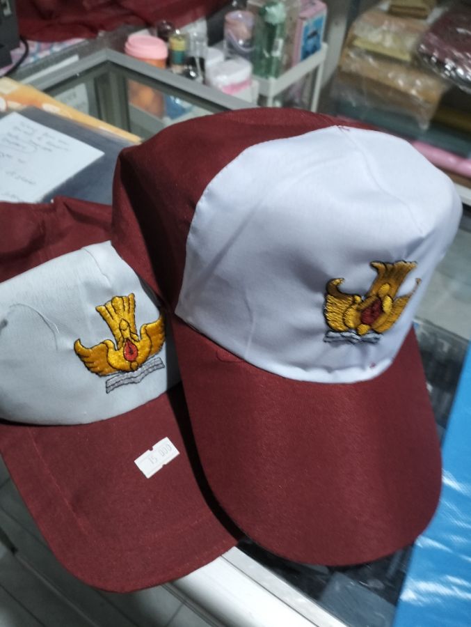 Topi anak SD