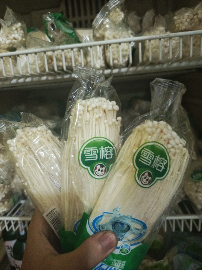 Jamur Enoki