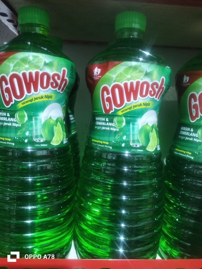 Gowos bsr