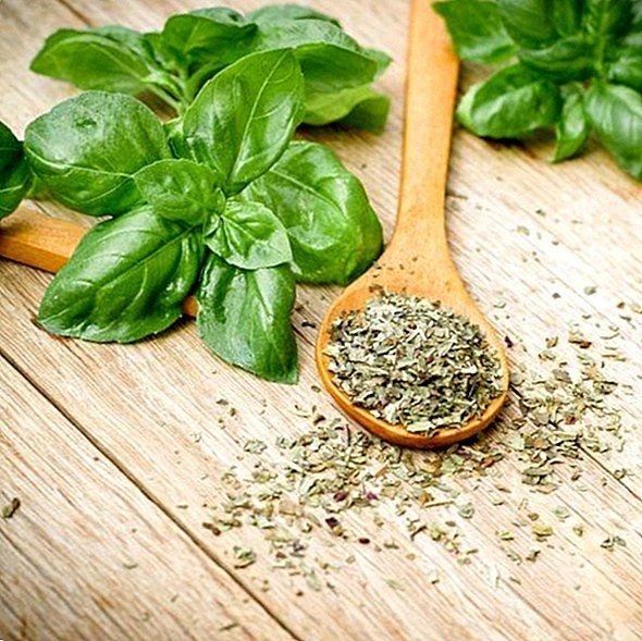 Basil 10 gr