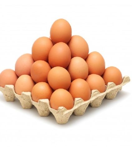 Telor
