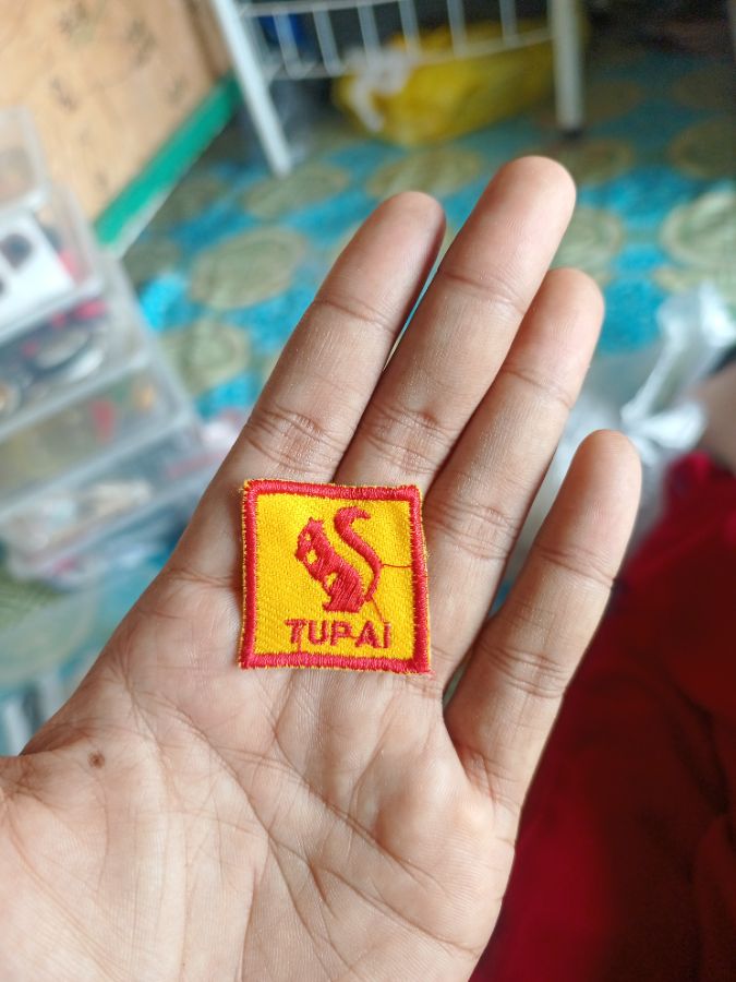 Regu tupai
