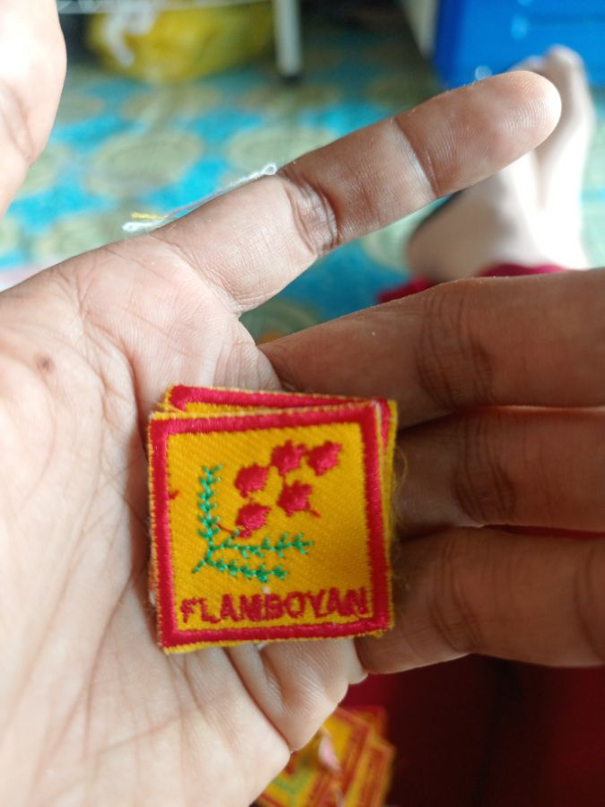Regu flamboyan