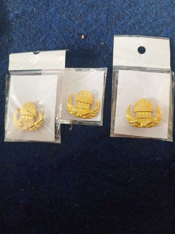 Pin korpri
