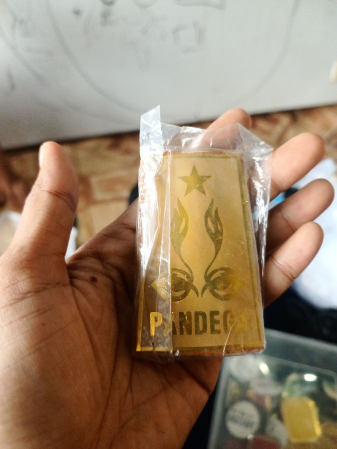Pandega