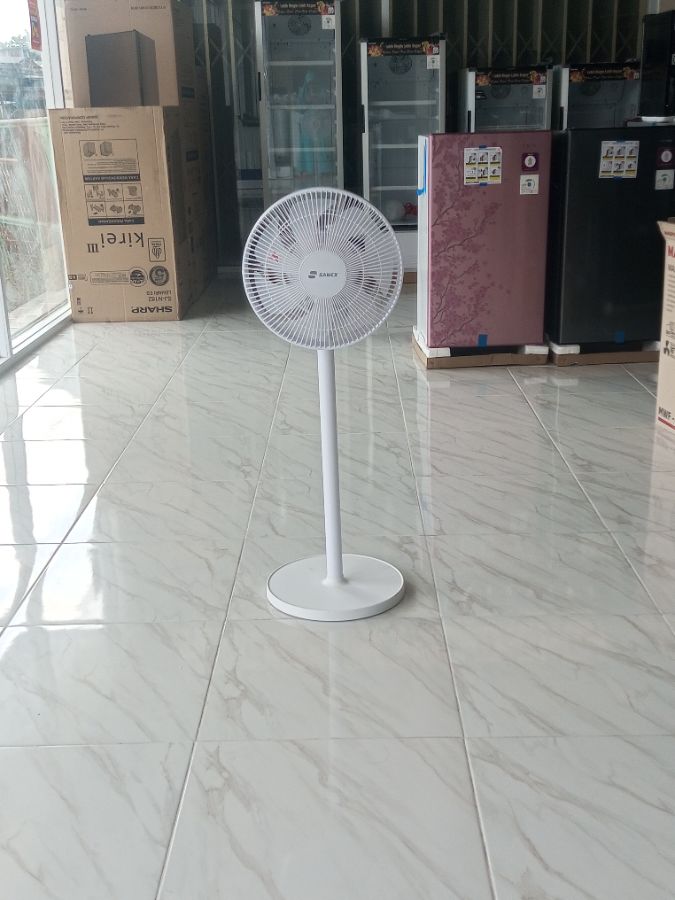 SANEX SSF1221 12inch