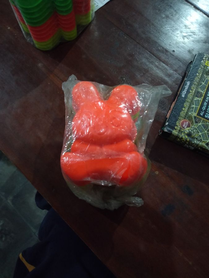 CETAKAN NASI KELINCI ROSYA