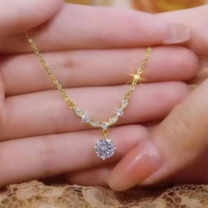 Kalung zirk