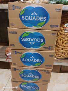 SQUADES MINI 120MLX45