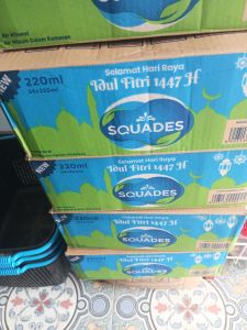 SQUADES BOTOL 220MLX24