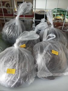 Gula Merah 1kg