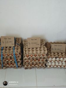 Telur Ikat Pink/65