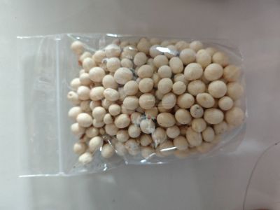 Pilus Giga Ori