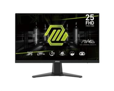 25 INCH MSI MAG 256F