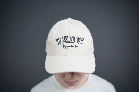 Topi