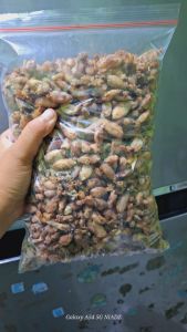 Baby Cumi Laut 100g