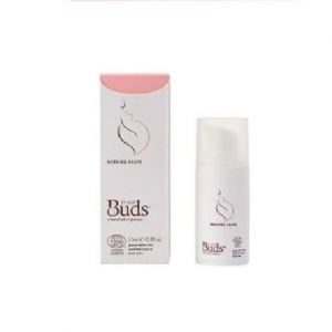BUDS NURSING SALVE 15ML