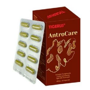 TIGERUS ANTROCARE 400MG (60 VEGECAPS)