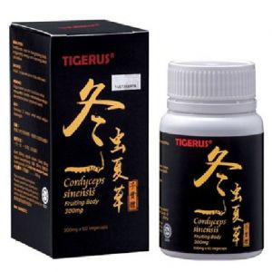TIGERUS CORDYCEPS SINESIS 300MG (60 VEGECAPS)