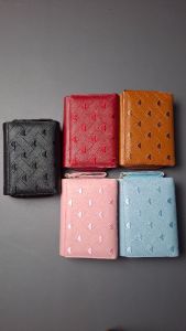 Dompet aurora