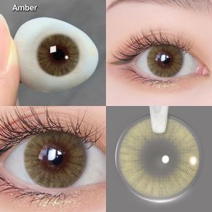 Soflens magister