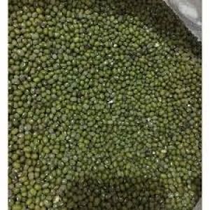 KACANG HEJO KILOAN