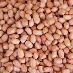 KACANG TANAH KILOAN