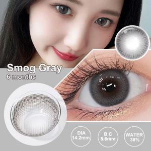 Soflens magister 1