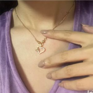 Kalung titanium DGC