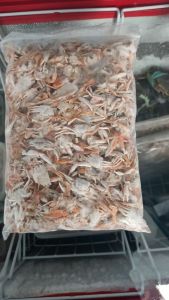 Baby Crab