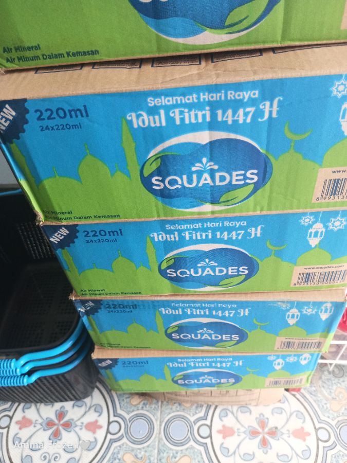 SQUADES BOTOL 220MLX24