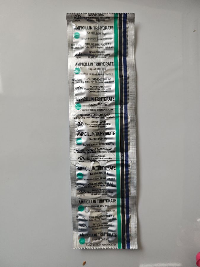 Ampicilin Trihydrate 1 Keping
