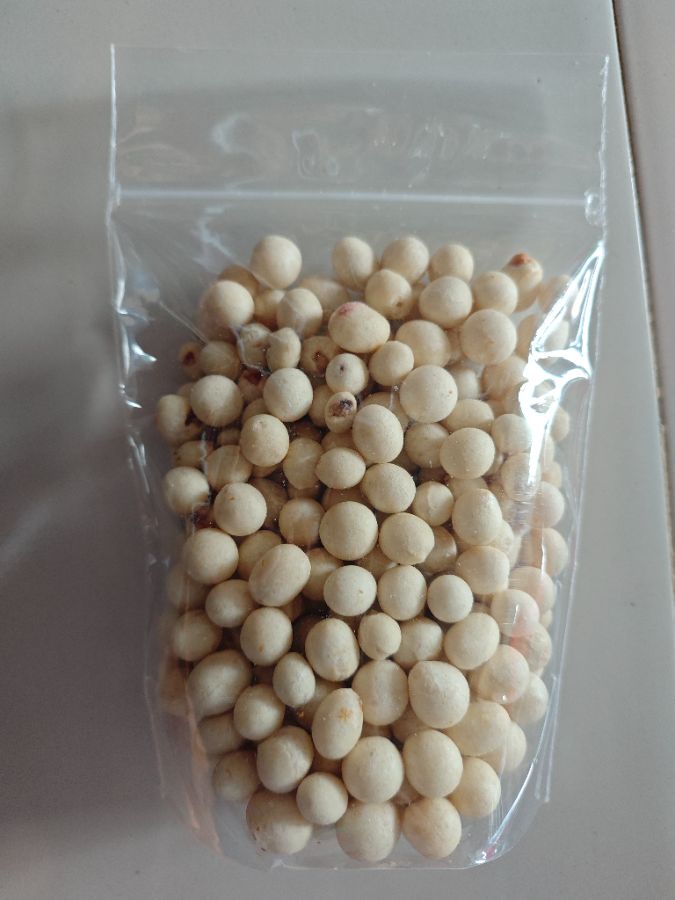 Kacang Atom ORI 