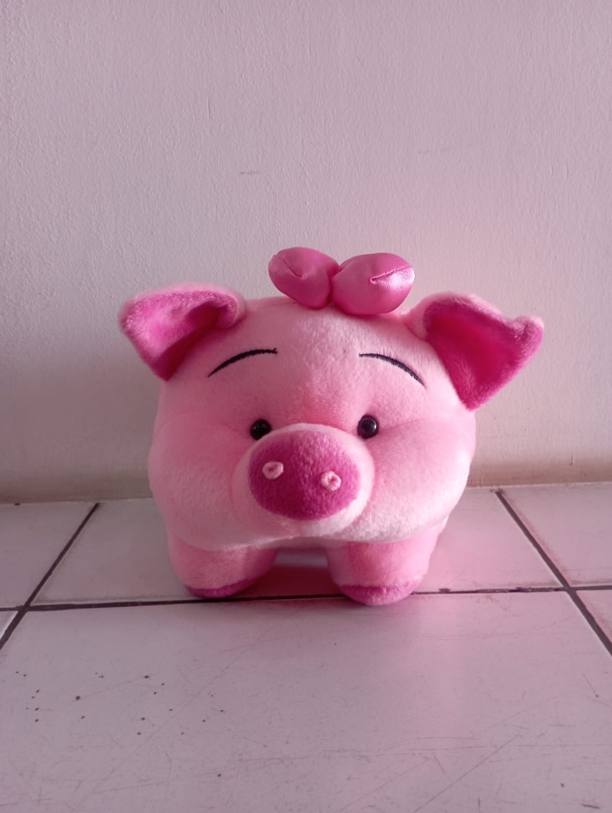 Pig Pita S 20cm