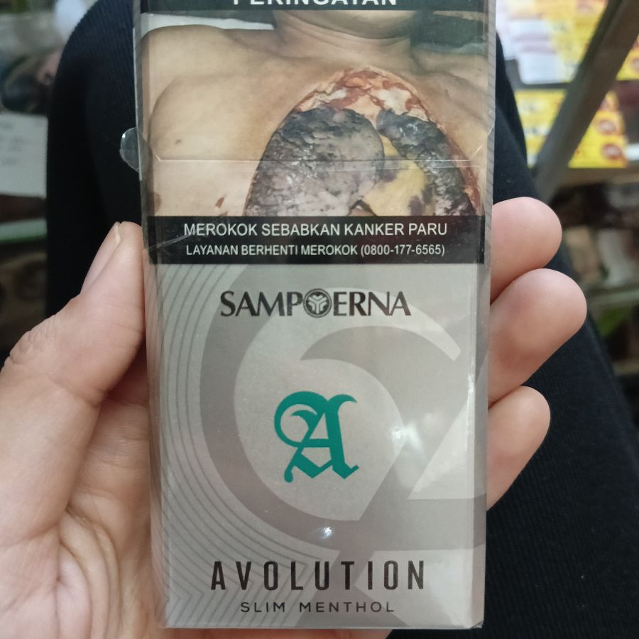 Avolution Hijau12