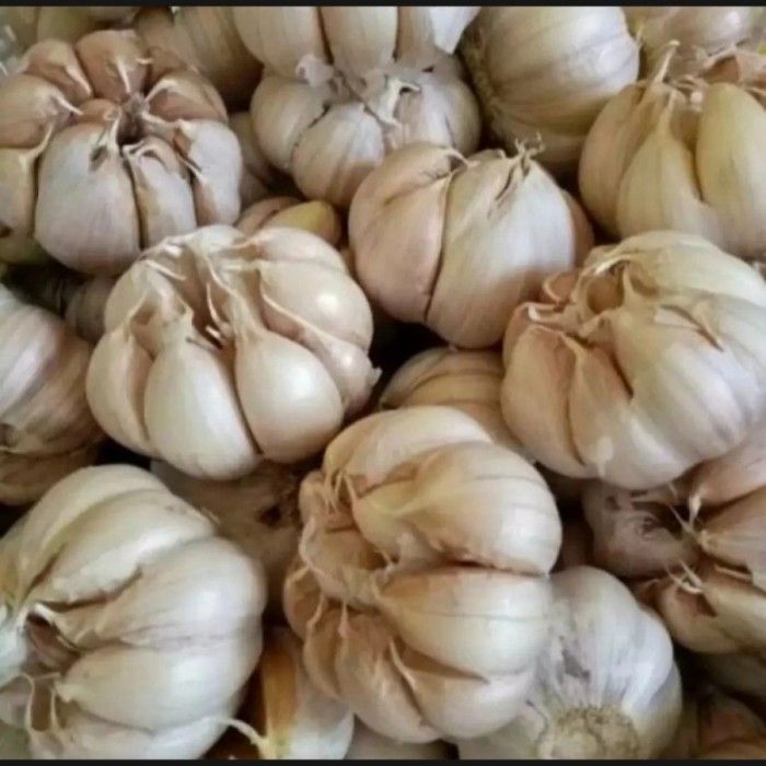 BAWANG PUTIH KILOAN