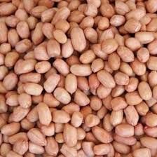 KACANG TANAH KILOAN